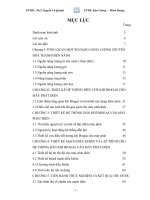 Máy phát điện sử dụng khí Biogas phần 2