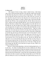 Nghiên cứu quy trình lên men kết hợp để sản xuất bào tử nấm Metarhizium và khả năng diệt mối của bào tử nấm qua lây nhiễm