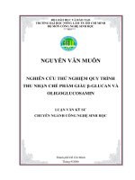 Nghiên cứu thử nghiệm quy trình thu nhận chế phẩm giàu Glucan và Oligoglucosamin