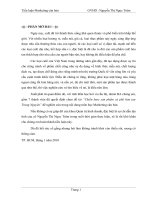 Báo cáo thực tập Tại ty CP Thương hiệu Việt