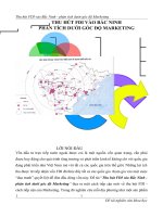 Thu hút FDI vào Bắc Ninh- phân tích dưới góc độ Marketing