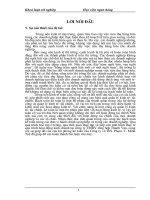 Kế toán bán hàng và xác định kết quả KD tại Cty TMDV tổng hợp Thanh Vân