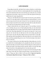 Công tác kế toán tiêu thụ hàng hoá nhập khẩu tại công ty Thương mại -Dịch vụ Nhựa.doc