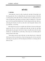 Bước đầu nghiên cứu sản xuất nước tương lên men phần 1