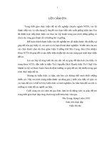 Tìm hiểu kỹ thuật ương giống cá chim vây vàng (Trachinotus blochii Lacepede, 1801) tại Trại Thực nghiệm sản xuất Hải sản - Vĩnh Hòa - Nha Trang