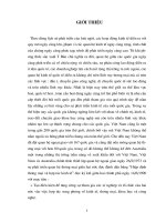 Hoạt động Marketing quốc tế của các Doanh nghiệp XK hàng truyền thống sang Australia