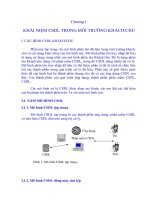 CSDL trong môi trường Client Server