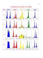 Dữ liệu  SSR của  CT,NA,AMAZ,PA