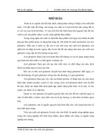 Thiết kế nhà máy sản xuất axit glutamic với năng suất 4570 tấn sản phẩm/năm