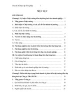 Phương hướng và giải pháp phát triển thị trường tiêu thụ hàng hoá tại Công ty cổ phần thương mại và kỹ thuật ứng dụng