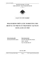 Hoạch định chiến lược marketing cho dịch vụ tài trợ Xuất nhập khẩu tại chi nhánh ACB Cần Thơ