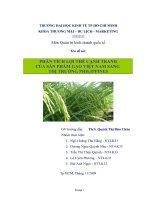 Phân tích lợi thế cạnh tranh của sản phẩm gạo Việt Nam sang thị trường Philippines