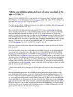 Nghiên cứu hệ thống phân phối một số nông sản chính ở Hà Nội và TP.HCM