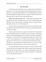 Tìm hiều về đầu tư trực tiếp nước ngoài FDI thực trạng và những giải pháp