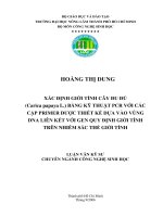 Xác định giới tính cây đủ đủ bằng kỹ thuật  PCR với các cặp Primer được thiết kế dựa vào vùng DNA