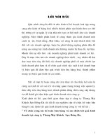 Tổ chức công tác kế toán bán hàng và xác định kết quả kinh doanh tại công ty thương mại đống đa