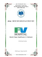 Giới thiệu đề tài nghiên cứu marketing toàn cầu Bệnh Viện Khách Sạn “ Pháp Việt”.