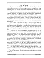 Tình hình cổ phần hoá ở doanh nghiệp Viconship - Nguyễn Văn Thắng