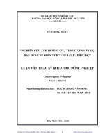 Nghiên cứu ảnh hưởng của trồng xen cây họ đậu đến chè kiến thiết cơ bản tại Phú Hộ