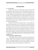 Hoàn thiện kế toán tiêu thụ và kết quả tiêu thụ tại Công ty Cổ phần Kim Tín