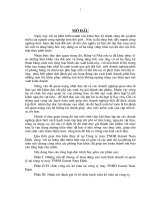 Tổ chức công tác kế toán tại Cty TNHH Garnet Nam Định