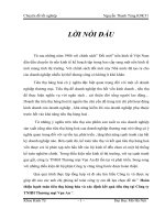 Hoàn thiện hạch toán tiêu thụ hàng hóa và xác định kết quả tiêu thụ tại Công ty TNHH Thương mại Vạn An