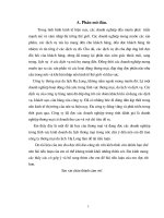 Thực trạng và giải pháp của việc quản lý và phát trển nguồn lực của công ty thương mại Du lịch Hạ Long