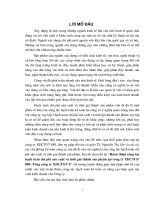 Tổ chức hạch toán kế toán TSCĐ tại C.ty Khai Thác Công Trình Thuỷ Lợi Hoà Bình