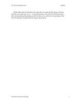 Tình hình nuôi tôm thẻ chân trắng.