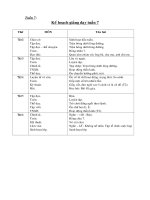 Tài liệu Giáo án môn Tiếng Việt tuần 7