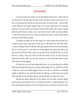 Báo cáo thực tập tại Công ty Cổ phần S.K.Y