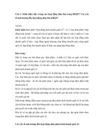 Bài kiểm tra kinh tế