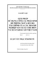 Giải pháp sử dụng công cụ phái sinh để phòng ngừa rủi ro tài chính