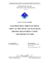 Giải pháp phát triển sản phẩm cho vay tiêu dùng tại NHTMCP Á Châu Cần Thơ