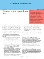Vietnam - new comprtition law