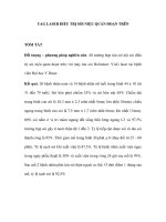 Yag laser điều trị sỏi niệu quản đoạn trên