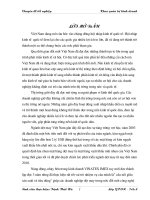 Một số biện pháp đẩy mạnh hàng dệt may của Cty XNK dệt may (VINATEX IMEX) sang thị trường nước ngoài