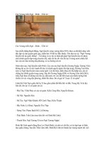 Các Vương triều Ngô – Đinh – Tiền Lê