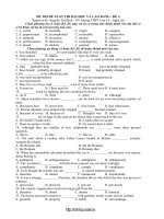 Đề thi thử đại học môn tiếng anh 14