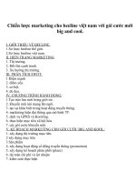 Chiến lược marketing cho beeline việt nam với gói cước mới big and cool.