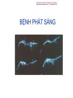  Bệnh Phát sáng trên tôm