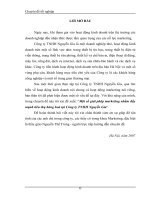 Một số giải pháp marketing nhằm đẩy mạnh tiêu thụ hàng hoá tại Công ty TNHH Nguyễn Gia