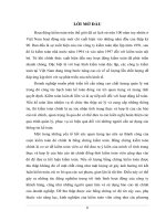 Bằng chứng kiểm toán và kỹ thuật thu thập bằng chứng kiểm toán trong kiểm toán tài chính.doc