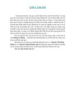 Tổ chức kế toán tiêu thụ và xác định kết quả tiêu thụ hàng hoá tại Công ty Cổ Phần Thương Mại STD