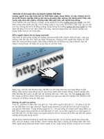 Internet và mối quan tâm của doanh nghiệp Việt Nam