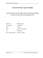 Hoàn Thiện Việc Hoạch Định Chiến Lược Marketing Xuất Khẩu Lâm Sản Của Tổng Công Ty Lâm Nghiệp Việt Nam