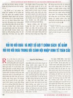 Rủi ro hối đoái và một số gợi ý chính sách để giảm rủi ro hối đoái.pdf