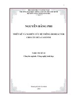Thiết kế và nghiên cứu hệ thống Bioreator cho cây dứa cayenne