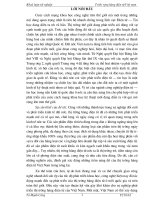 Triển vọng hàng điện tử Việt nam