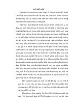 Thực trạng chiến lược kinh doanh của Tổng công ty Lâm nghiệp Việt Nam. Định hướng chiến lược và giải pháp thực hiện chiến lược giai đoạn 2008- 2015